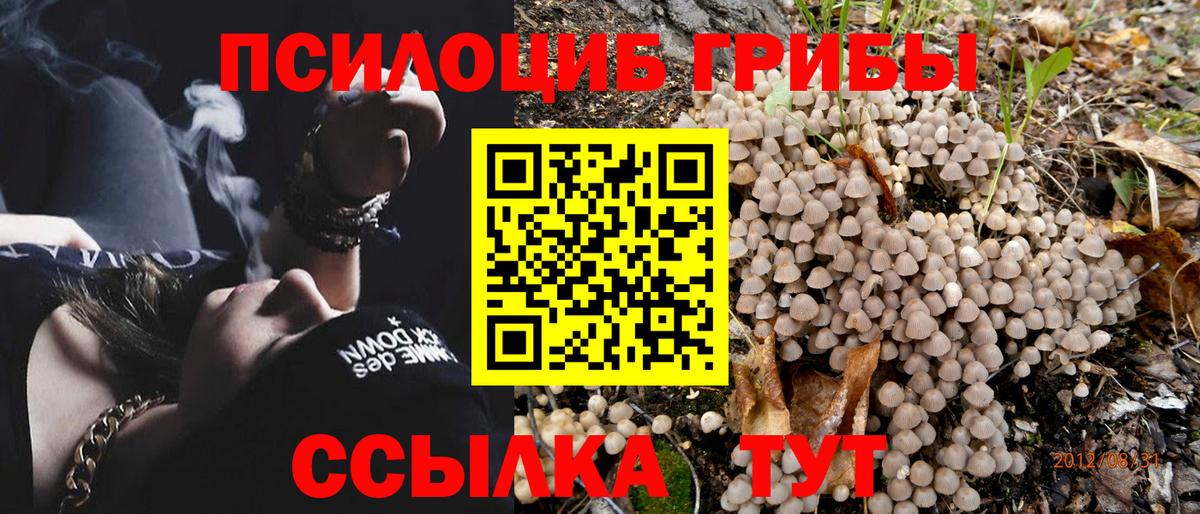 Псилоцибиновые грибы Psilocybine cubensis  Вход с VPN  Галлюциногенные грибы Magic Shrooms  наркота  Энгельс 